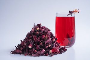 Гибискус для каркаде в Израиле